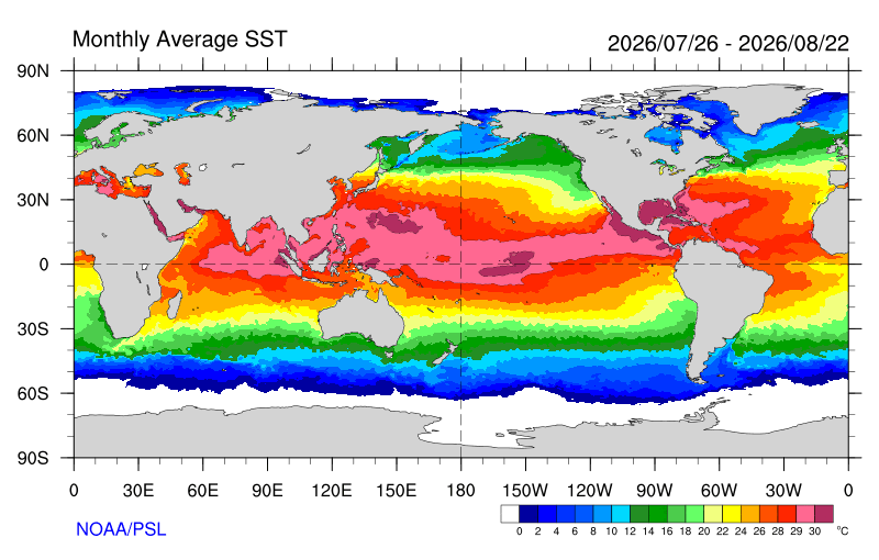 Temperatura superficial del mar actual